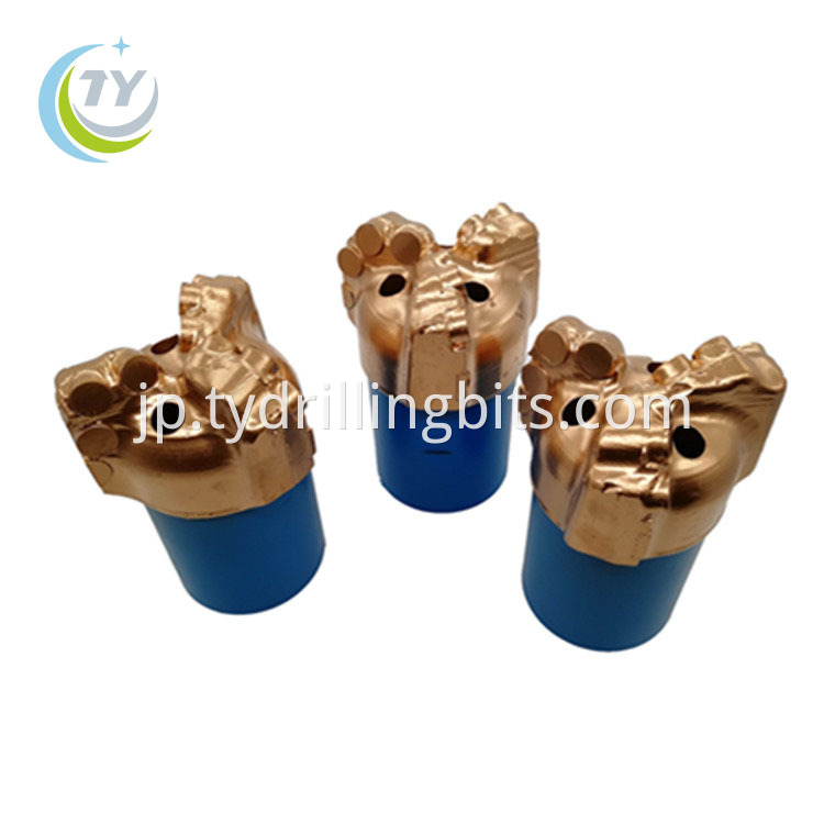 Pdc Drill Bit For Sale